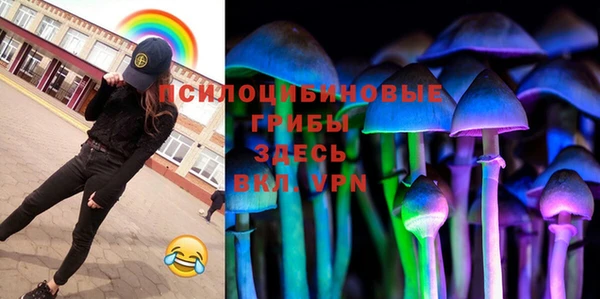 метамфетамин Алексин